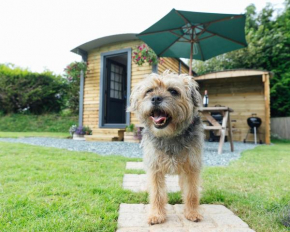 Buttles Shepherd's Hut